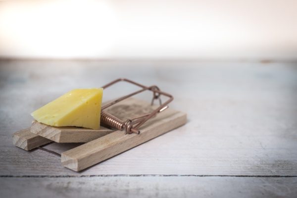 Is Your Organisation’s Risk Mindset Stalling Innovation? image